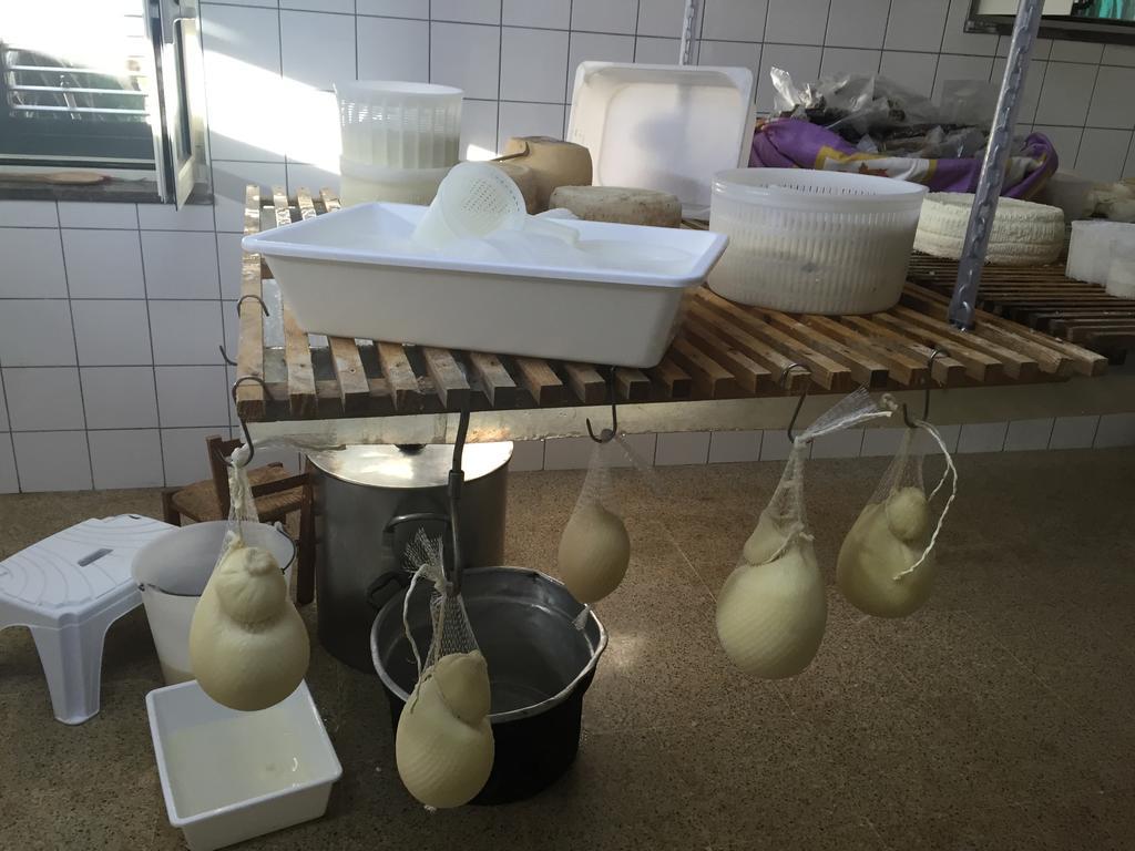 Casa Nostra Hotel Ceraso Ngoại thất bức ảnh